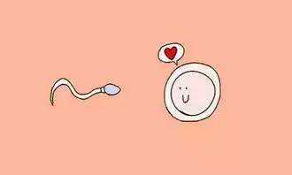 厦门一七四和福州总院试管哪个好！怎样保证安全！